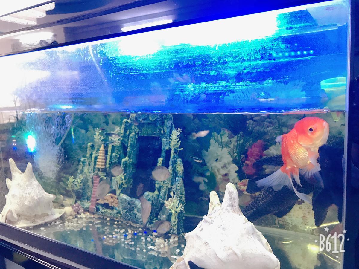 Bien Dong Hotel Nha Trang Eksteriør billede